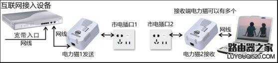 電力貓是什么？電力貓的優(yōu)缺點以及選購方法