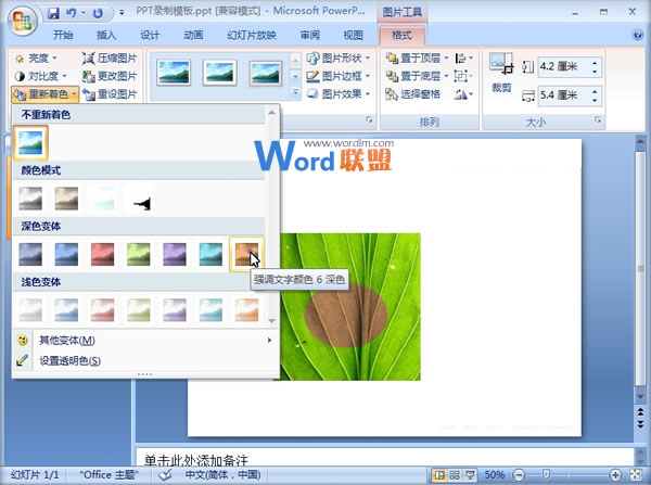 PowerPoint2007中圖片燒焦效果的制作