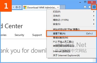 IE10查看下載