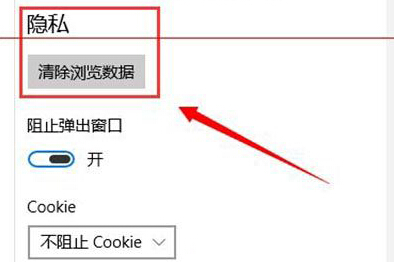 如何在win10系統(tǒng)中的斯巴達(dá)瀏覽器中刪除歷史記錄和cookie?