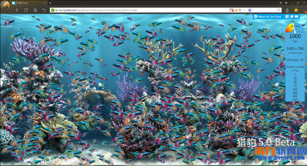 獵豹瀏覽器怎么樣 獵豹安全瀏覽器5.0評測體驗