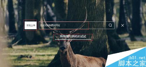 百度怎么搜圖識別？百度識圖功能教程