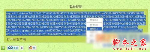 torrentkitty番號如何使用 torrentkitty番號使用教程