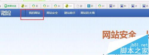 360瀏覽器下的網(wǎng)站logo怎么出來的