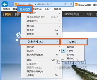設置IE瀏覽器中的文字大小
