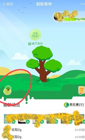 支付寶螞蟻森林模擬地圖怎么進(jìn)入