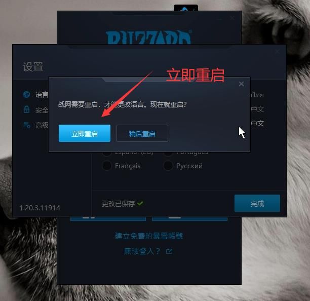 使命召喚戰區亞服戰網怎么注冊 亞服戰網注冊方法介紹[多圖]圖片15
