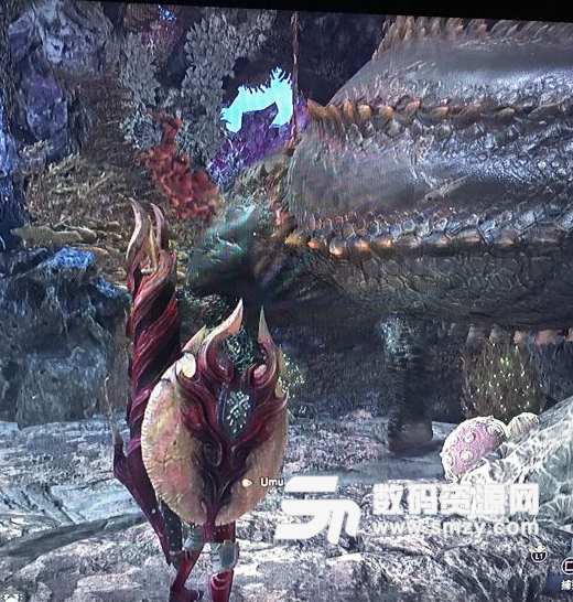 怪物獵人世界在探索里找到恐暴龍方法