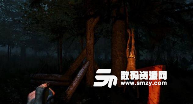 森林最新版本飛機(jī)頭位在哪里圖片