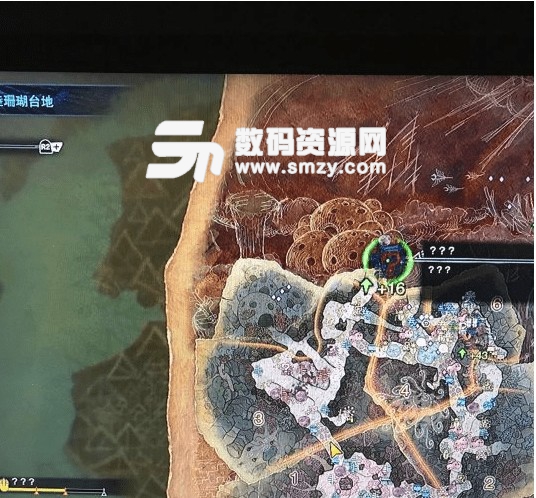 怪物獵人世界恐暴龍痕跡位置大全