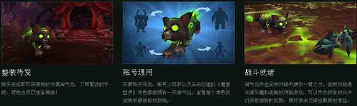 魔獸世界慈善寵物邪能小貓如何收養