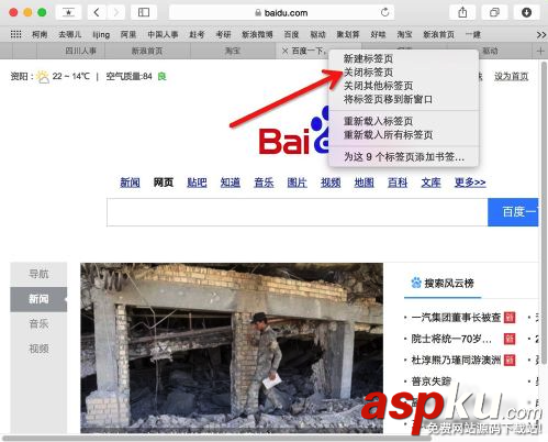 Mac,safari標簽