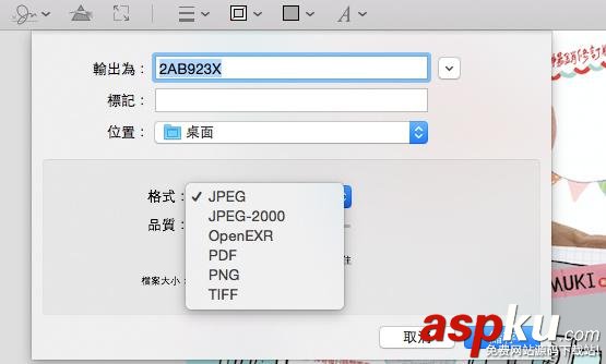 13招,Mac,預覽,app