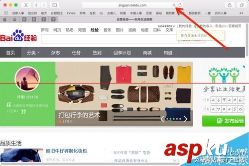 mac,safari,關(guān)閉標(biāo)簽,safari打不開網(wǎng)頁