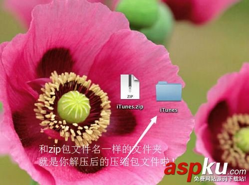 壓縮文件,mac