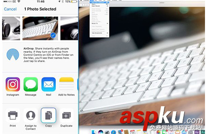 iPhone,內容,復制,Mac