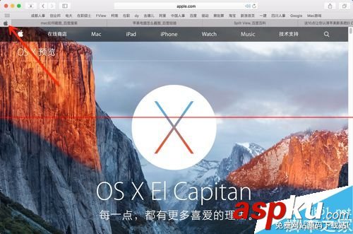 mac,safari,關(guān)閉標(biāo)簽,safari打不開網(wǎng)頁