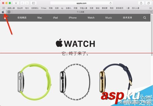 mac,safari,關(guān)閉標(biāo)簽,safari打不開網(wǎng)頁
