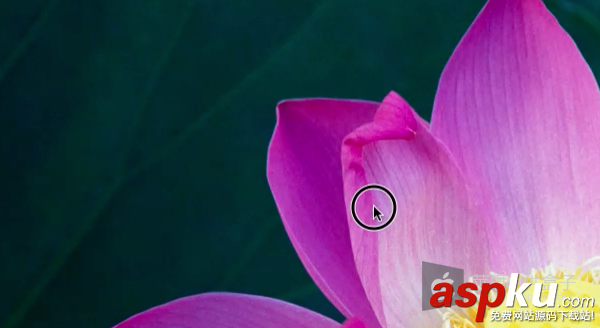 Mac系統(tǒng),QuickTime,Player,屏幕錄像