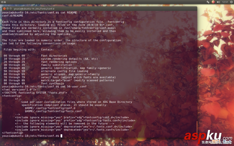 Linux折騰記,Ubuntu,14.10,使用Windows字體