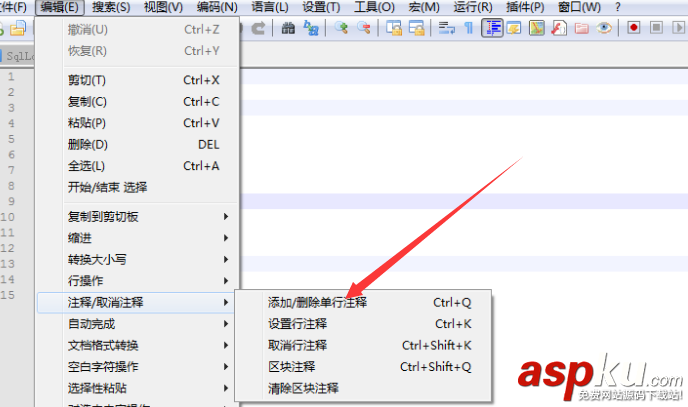 Notepad,代碼,注釋
