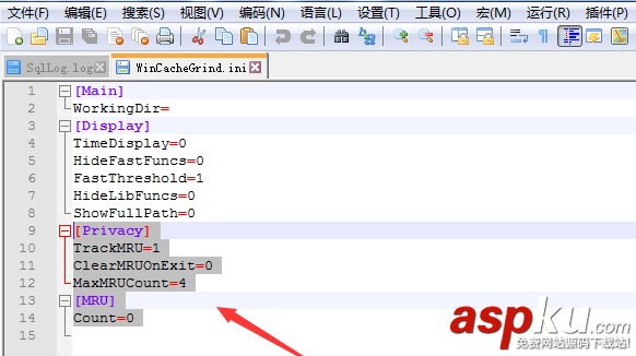 Notepad,代碼,注釋