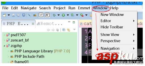 zend,studio,PHP代碼