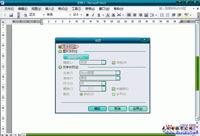 Word2003文檔中怎么樣去水印