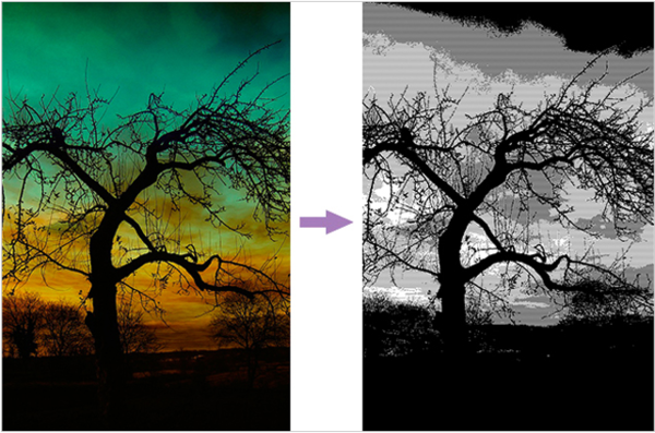 優(yōu)動(dòng)漫PAINT個(gè)人版與EX版之間有什么差異？詳解看這里！