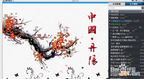 swf打不開怎么辦