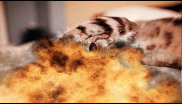 會聲會影X6新功能超詳細測評報告(有圖版)