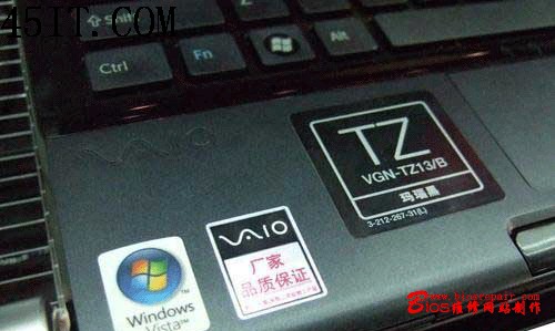 tz13-2.gif (97916 字節)