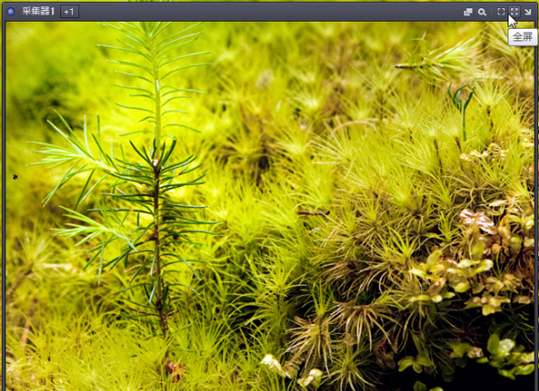 什么播放器能屏幕錄像