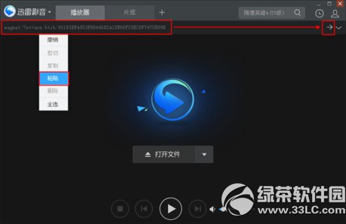 迅雷影音怎么看片？迅雷影音看片教程2