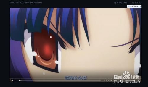 普通QQ旋風(fēng)會員云播放無時間限制