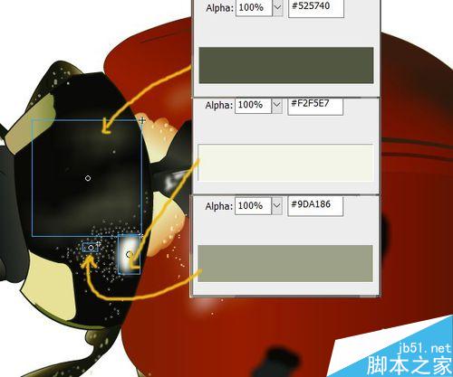 FLASH繪制一只小瓢蟲