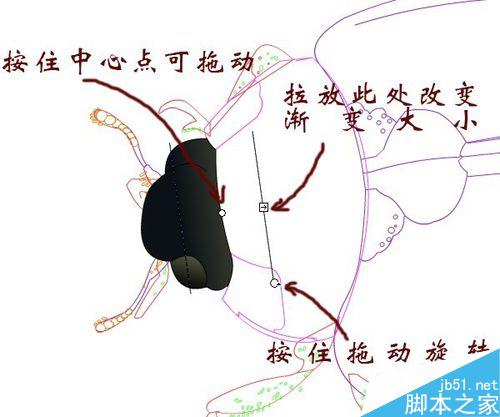 FLASH繪制一只小瓢蟲
