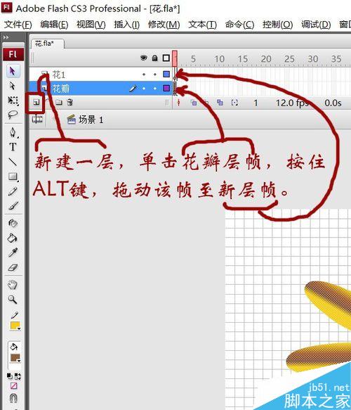 用flash繪制一朵花