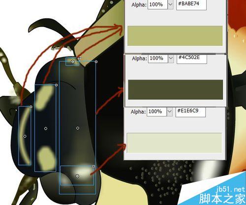 FLASH繪制一只小瓢蟲