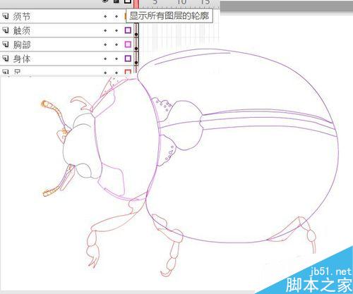 FLASH繪制一只小瓢蟲