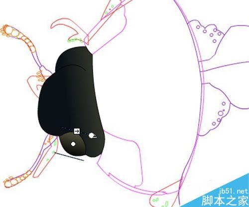 FLASH繪制一只小瓢蟲