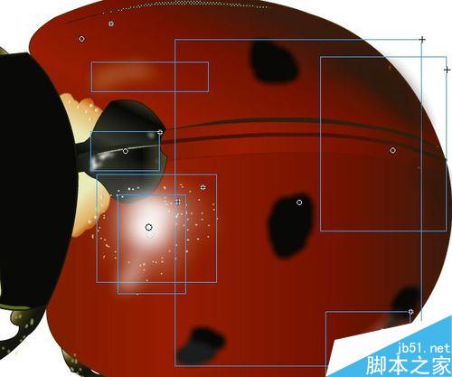 FLASH繪制一只小瓢蟲