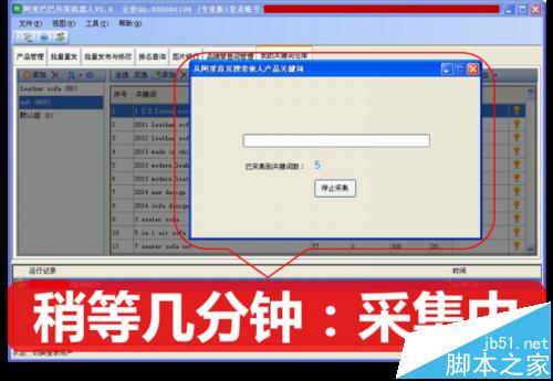 阿里巴巴國際站關鍵詞關鍵詞一鍵采集和分析
