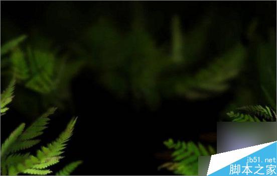 3dsmax制作超逼真的老虎 武林網 3dsmax教程