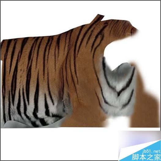 3dsmax制作超逼真的老虎 武林網 3dsmax教程
