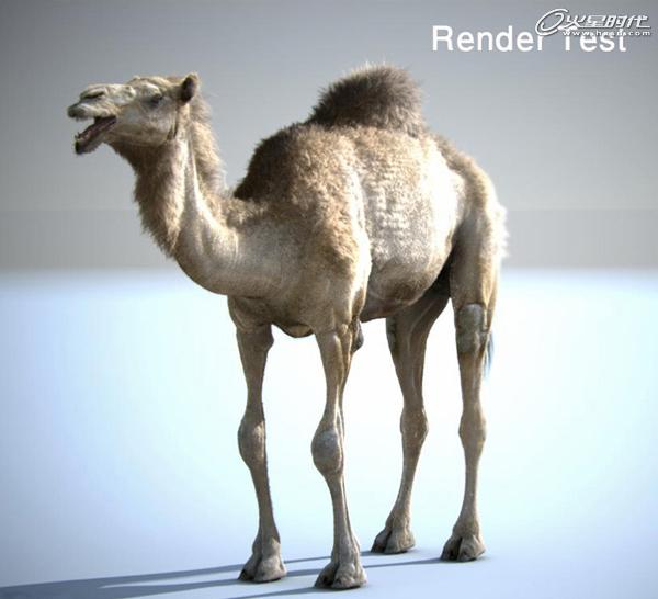 3DSMAX制作沙漠里的駱駝 武林網 3DSMAX建模教程