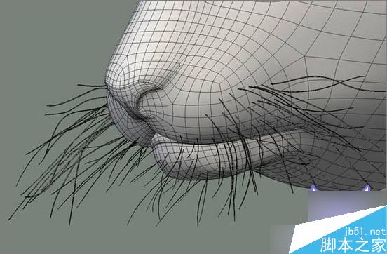 3dsmax制作超逼真的老虎 武林網 3dsmax教程