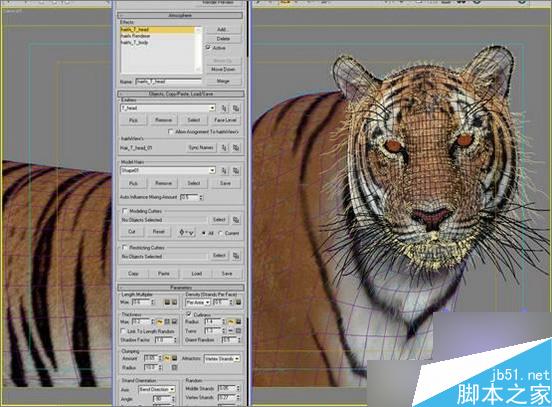3dsmax制作超逼真的老虎 武林網 3dsmax教程
