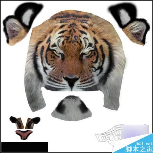 3dsmax制作超逼真的老虎 武林網 3dsmax教程