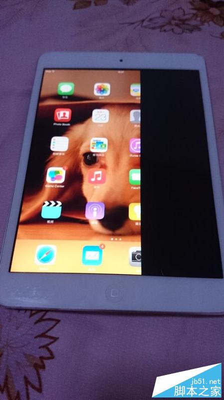 為iPadmini更換顯示屏